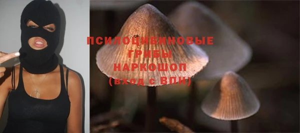 spice Алексеевка