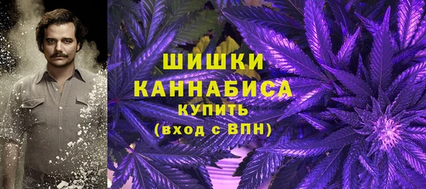 spice Абинск