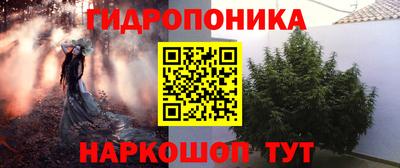 гашик Пенза