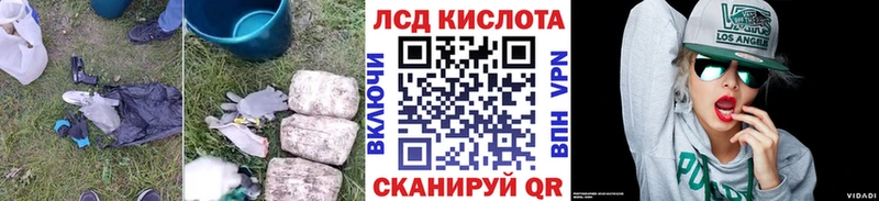 дарнет шоп  Скопин  Лсд 25 экстази кислота 