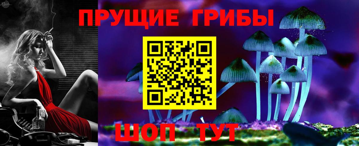 Псилоцибиновые грибы Psilocybine cubensis  Вход с VPN  Скопин  Галлюциногенные грибы Psilocybe 