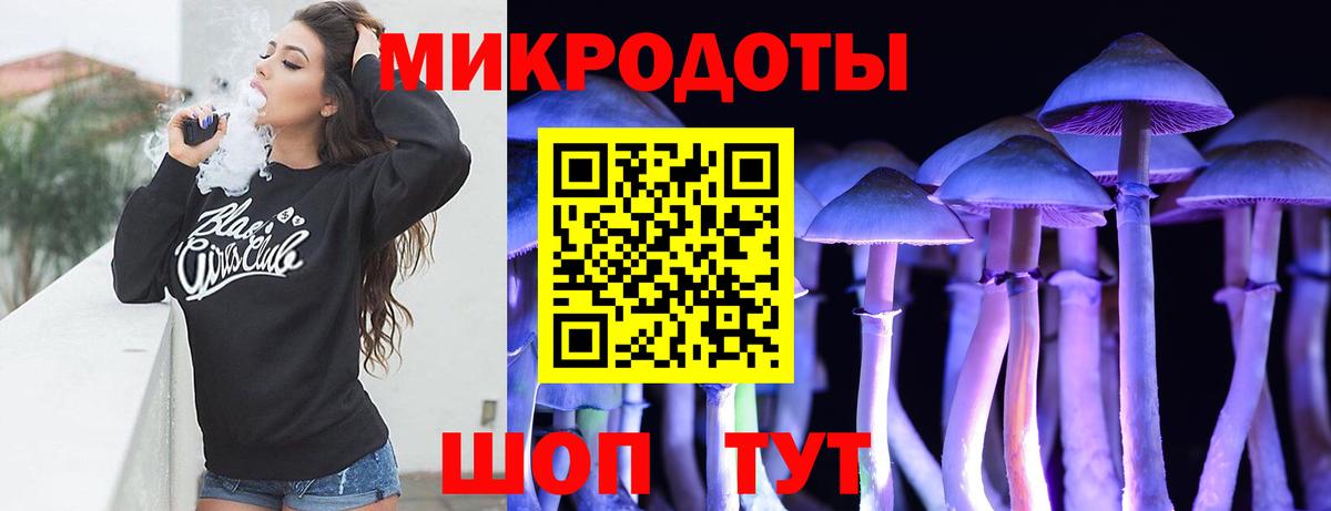 Псилоцибиновые грибы Cubensis Скопин